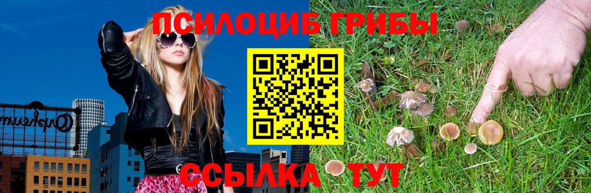 Галлюциногенные грибы прущие грибы  Вход с VPN  Новосибирск  Галлюциногенные грибы ЛСД 