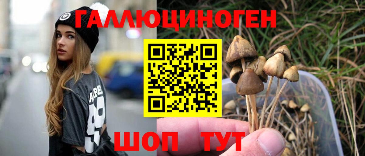 Галлюциногенные грибы Cubensis Новосибирск